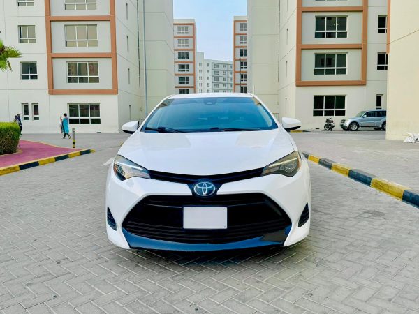 2019 Toyota Corolla LE (American Spec)