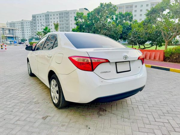 2019 Toyota Corolla LE (American Spec)